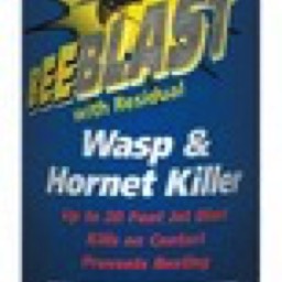 BeeBlast, Wasp & Hornet Killer w/22 Foot